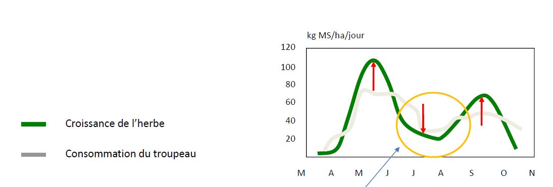 croissance d'herbe - besoins troupeau